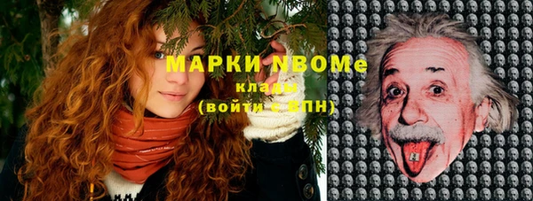 мдпв Майский