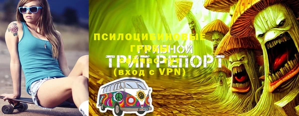 соль ск Кизел