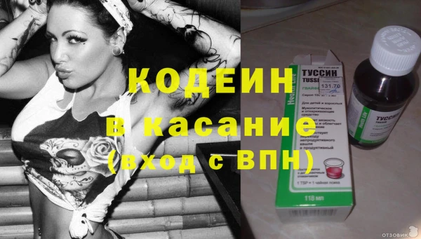 гидра Кедровый