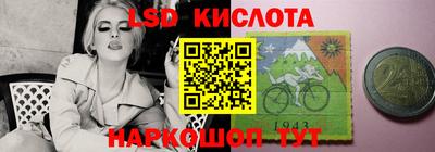 PSILOCYBIN Гатчина