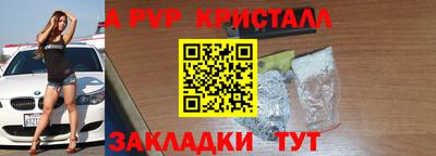 PSILOCYBIN Гатчина