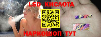 PSILOCYBIN Гатчина