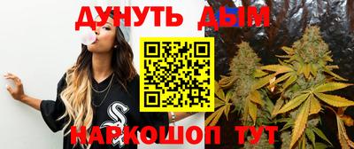PSILOCYBIN Гатчина