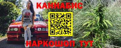 PSILOCYBIN Гатчина