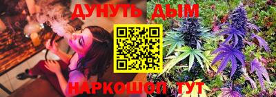 ALPHA PVP Гай