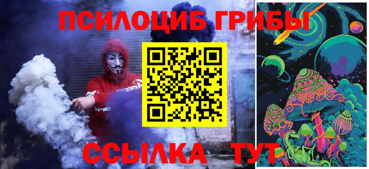 Галлюциногенные грибы Cubensis  Вход с VPN  Луга 