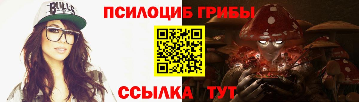 Галлюциногенные грибы Cubensis Луга